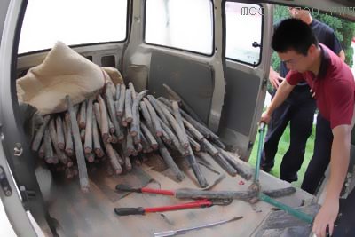 出動70余人偷盜電纜