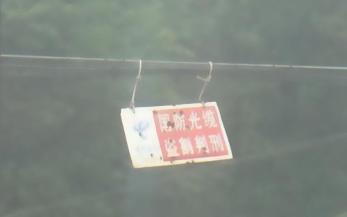 �������|