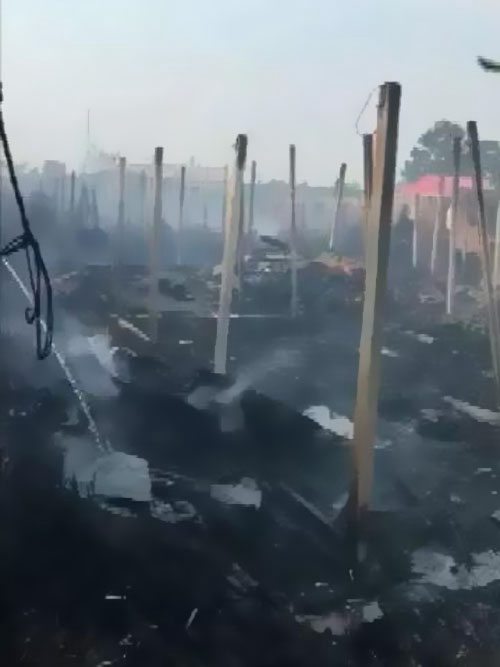 ������Ȼ�@����������ԭ����������